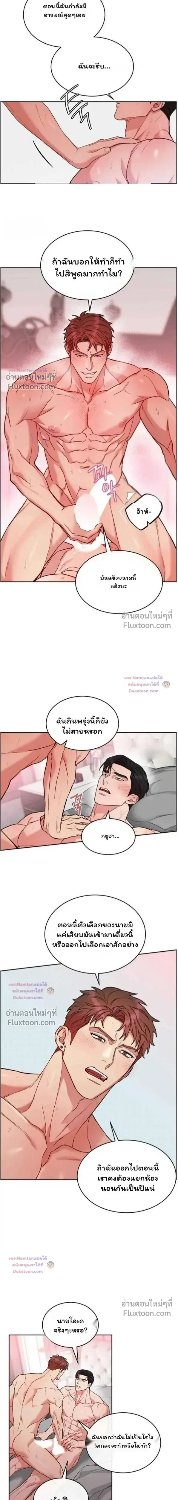 Dog and Bird หน้า 8