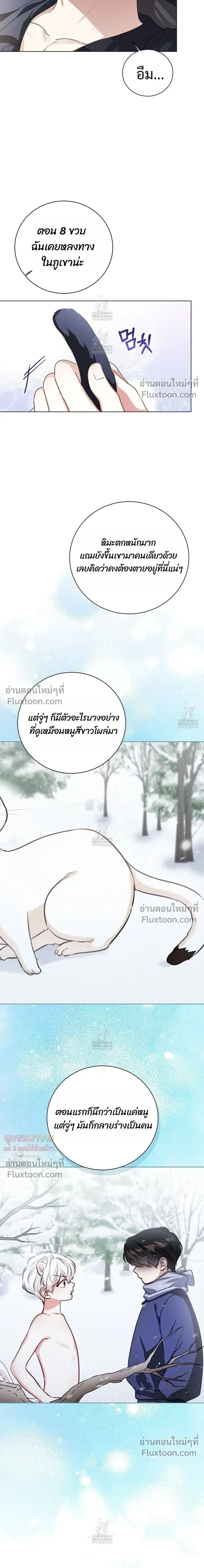 Mr. Mongoose… I want you! หน้า 21