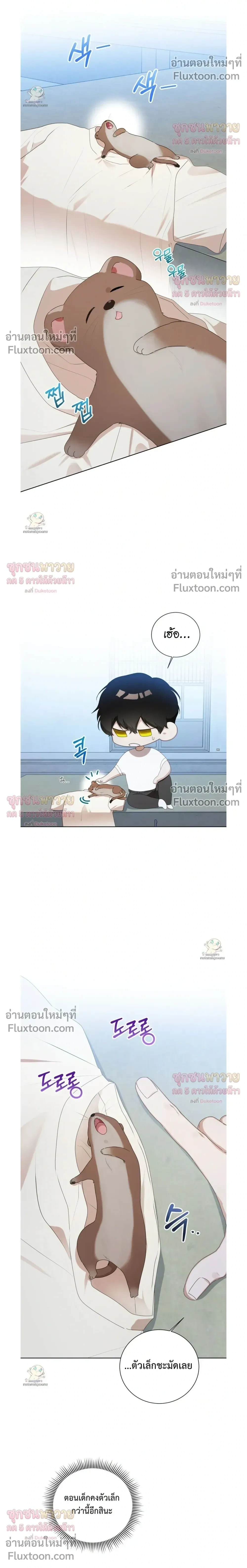 Mr. Mongoose… I want you! หน้า 20