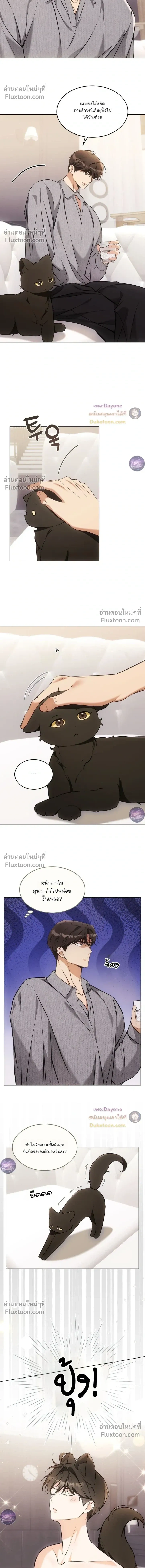 Kitty Therapy หน้า 5