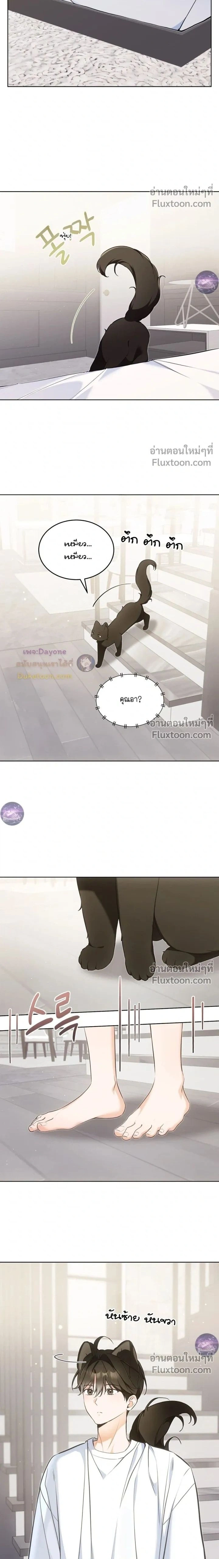 Kitty Therapy หน้า 2