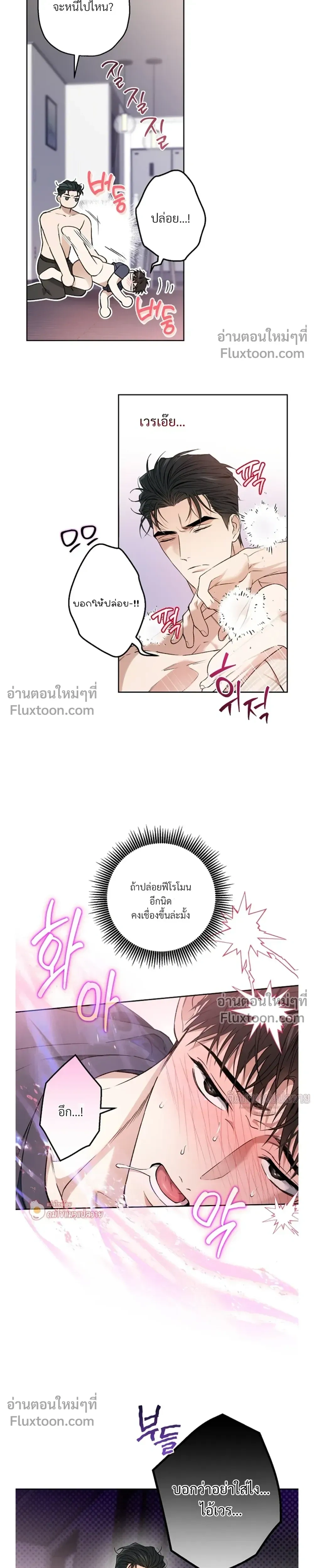 Grain in Ear หน้า 15