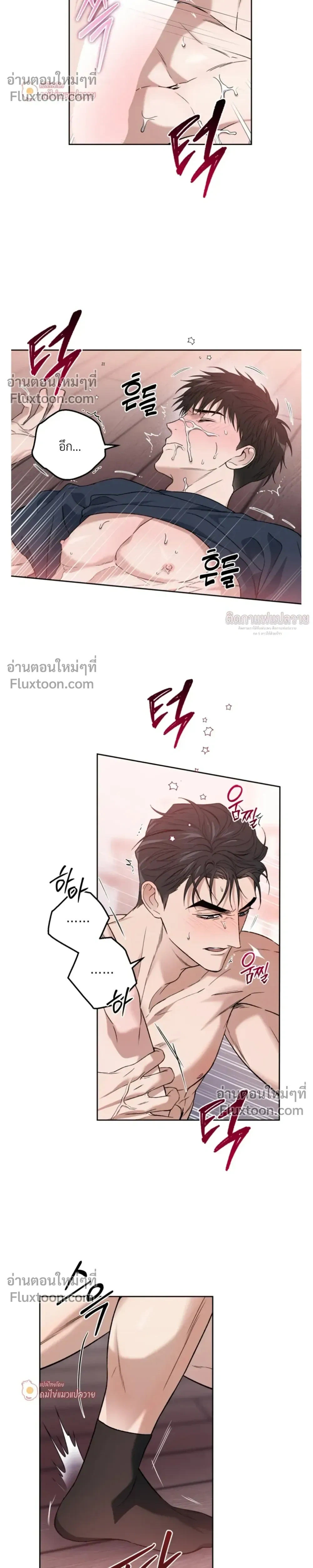 Grain in Ear หน้า 16