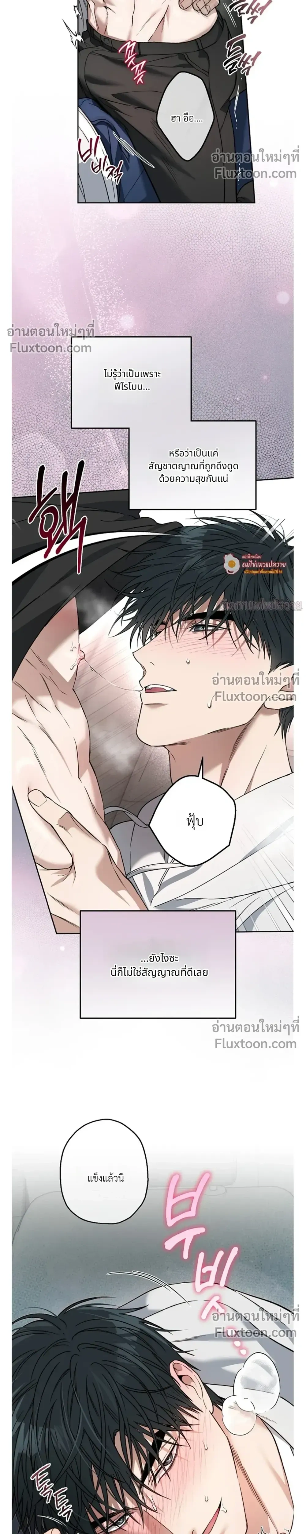 Grain in Ear หน้า 19
