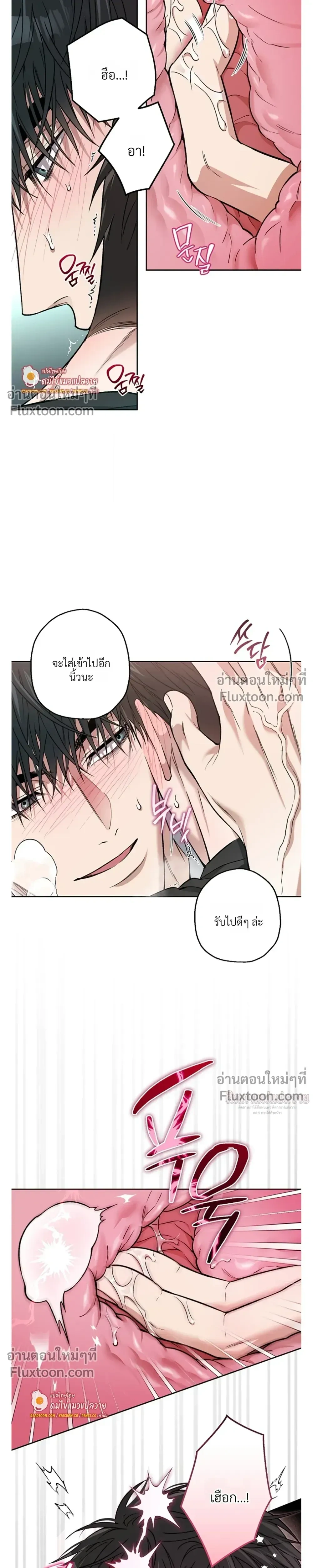 Grain in Ear หน้า 6