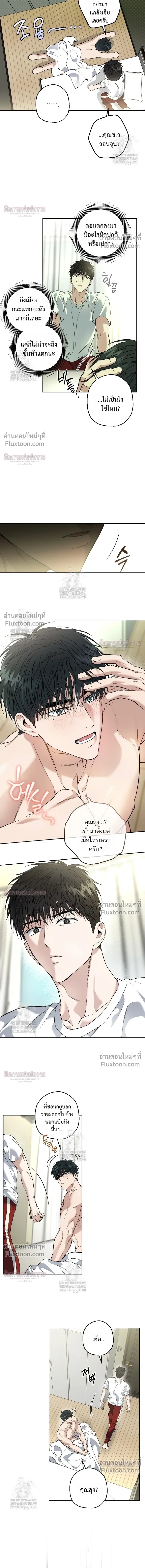 Grain in Ear หน้า 3