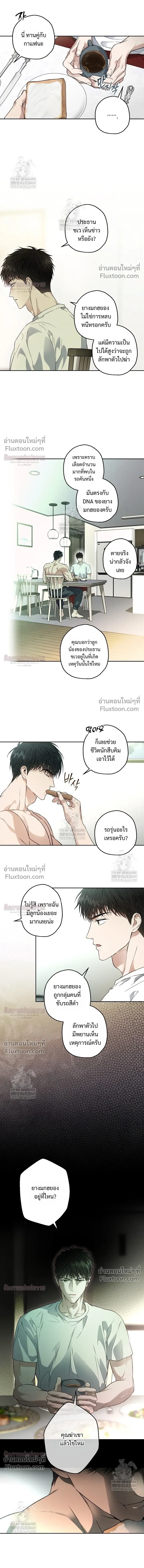 Grain in Ear หน้า 7