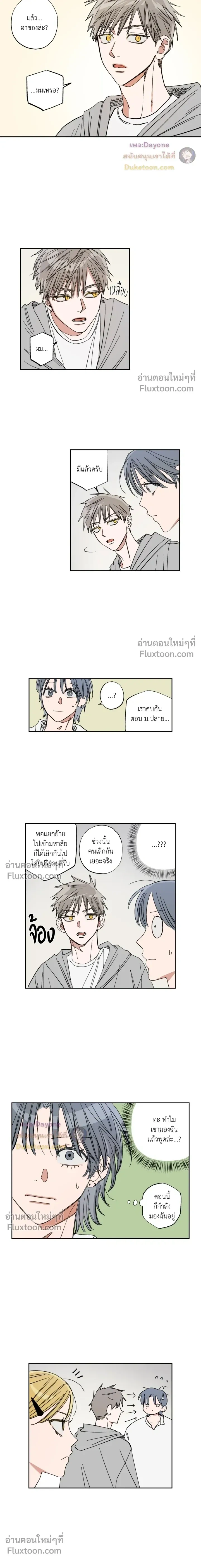A Little Crush Every Day หน้า 3