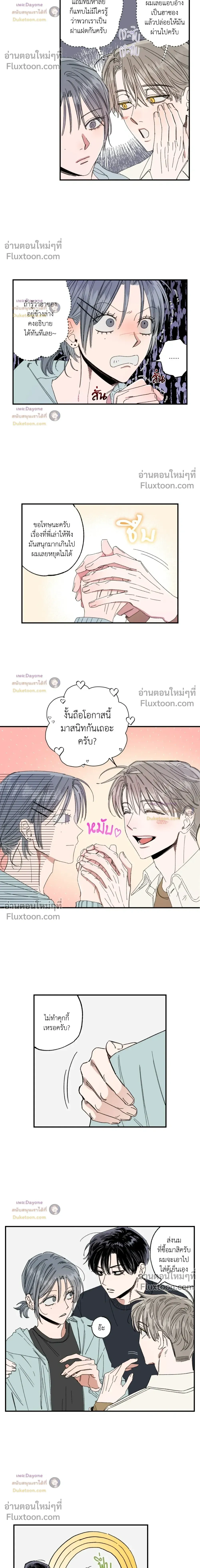 A Little Crush Every Day หน้า 14