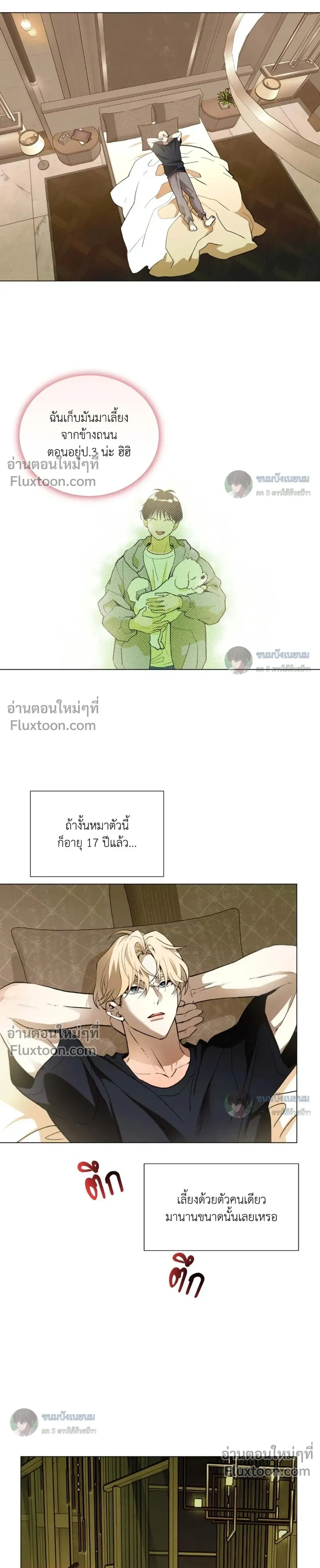 When Life Gives You Tomatoes หน้า 11