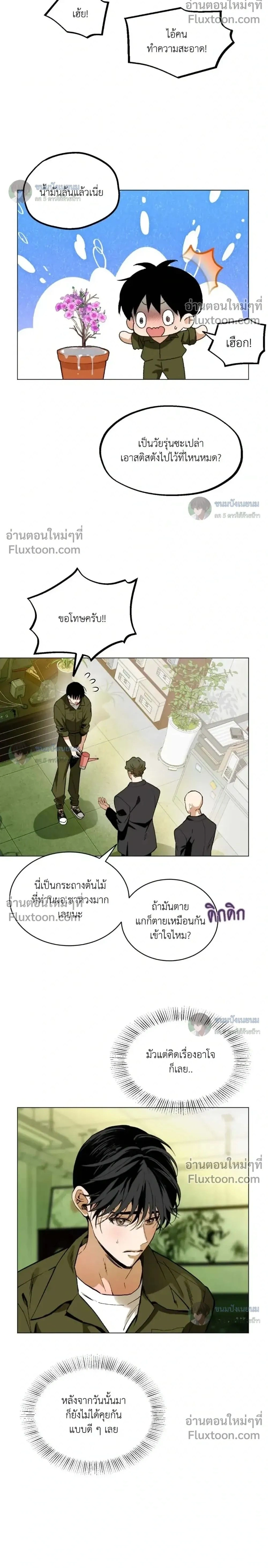 When Life Gives You Tomatoes หน้า 2