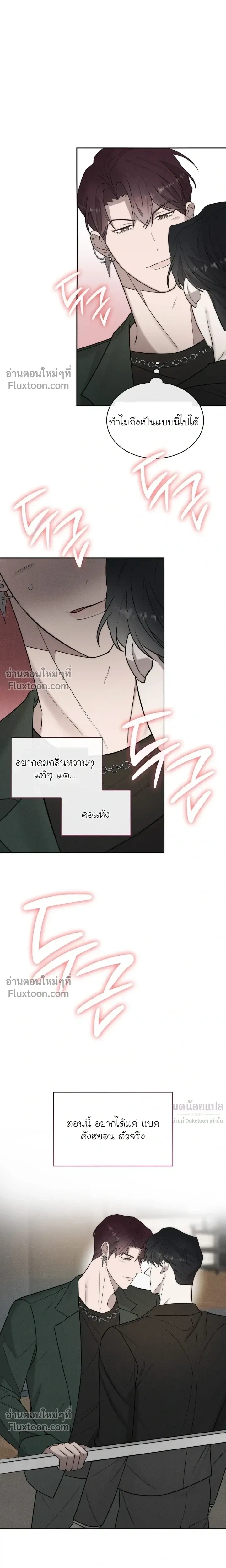 Alphega หน้า 19
