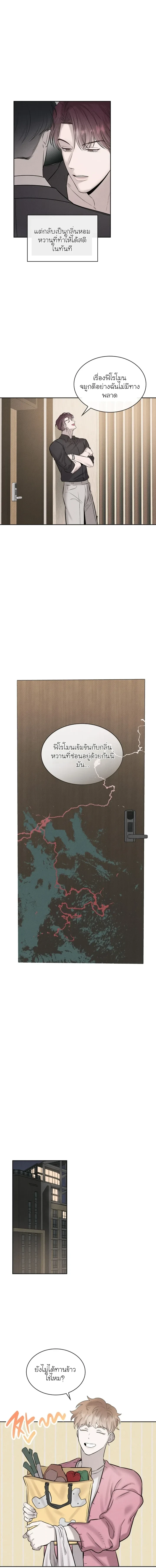 Alphega หน้า 7