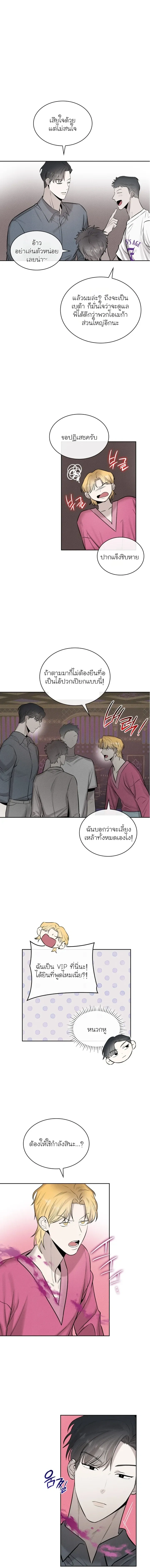 Alphega หน้า 11