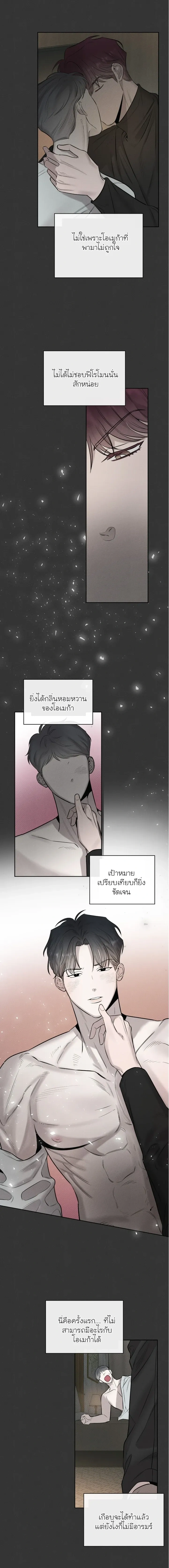 Alphega หน้า 5