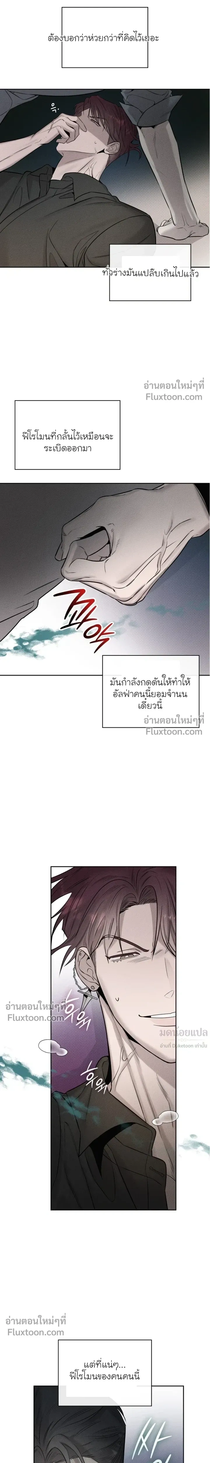 Alphega หน้า 13