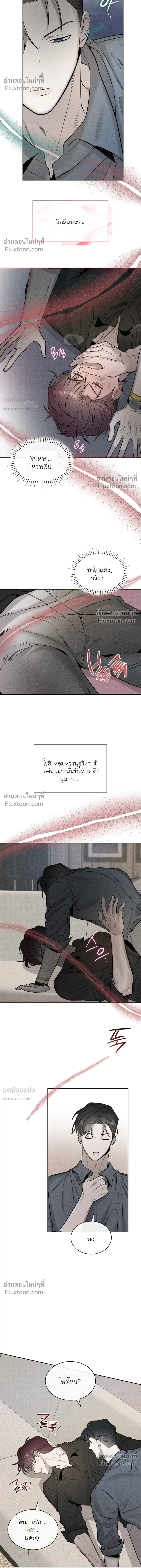 Alphega หน้า 14
