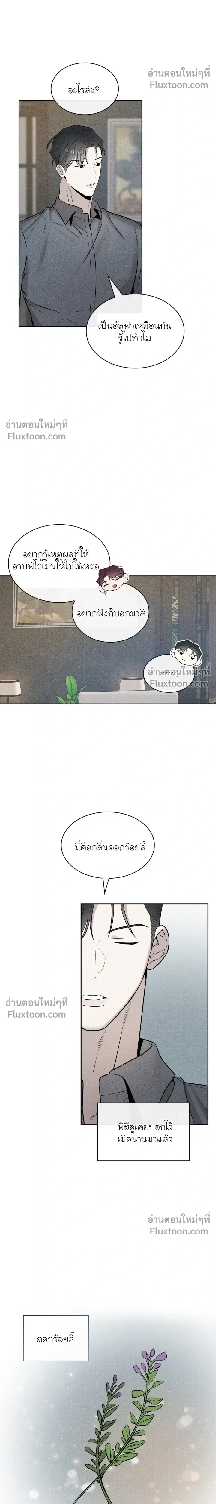 Alphega หน้า 16