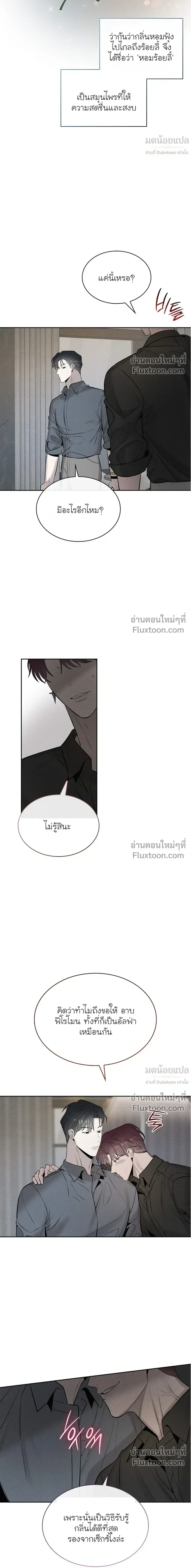 Alphega หน้า 17