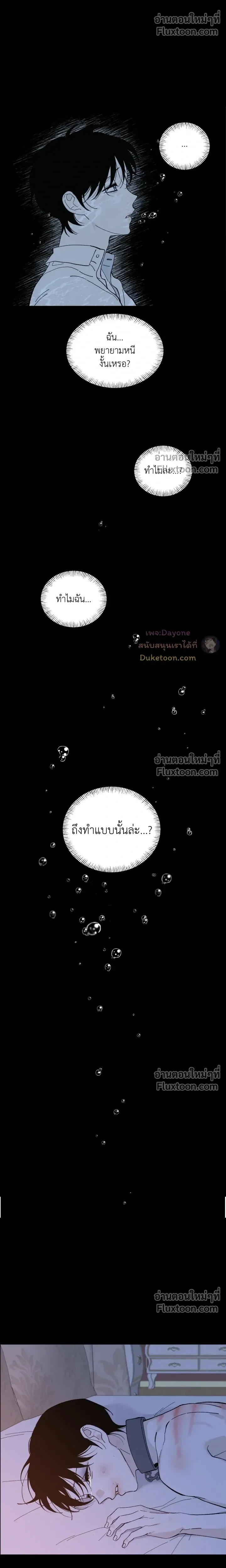 Maison หน้า 11