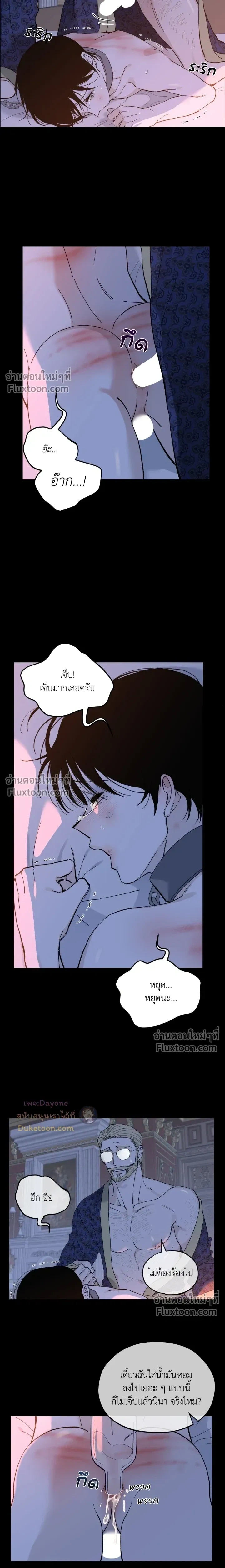 Maison หน้า 13
