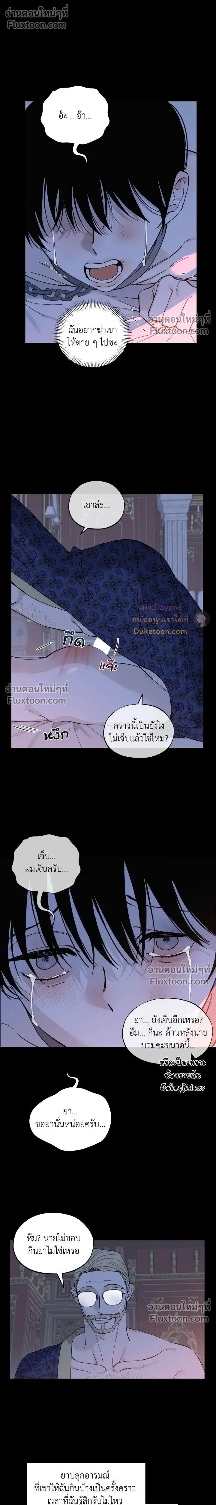 Maison หน้า 14