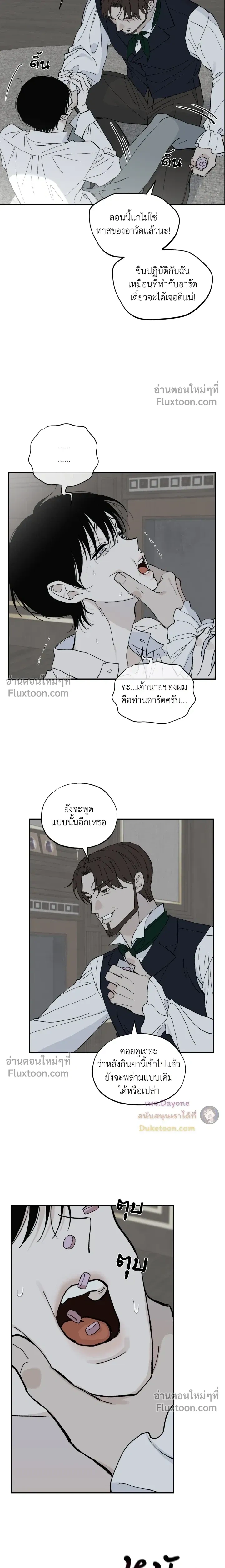 Maison หน้า 4