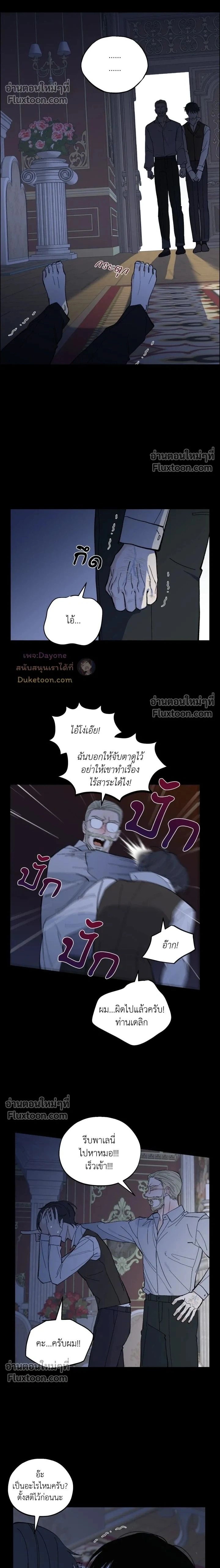 Maison หน้า 2