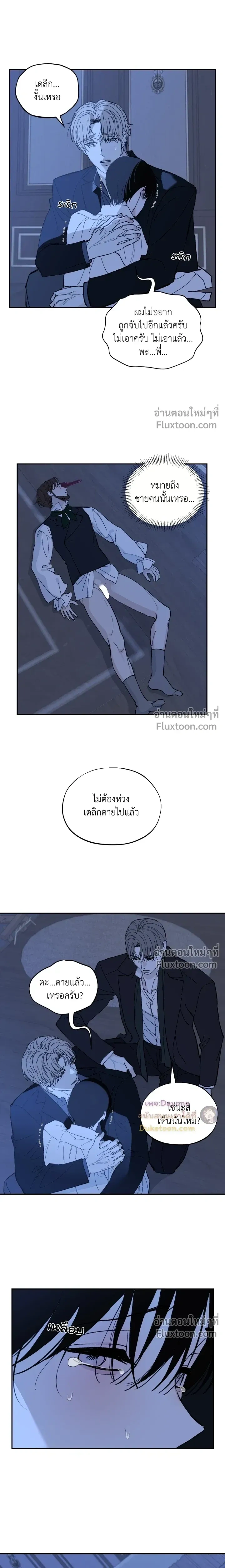 Maison หน้า 13