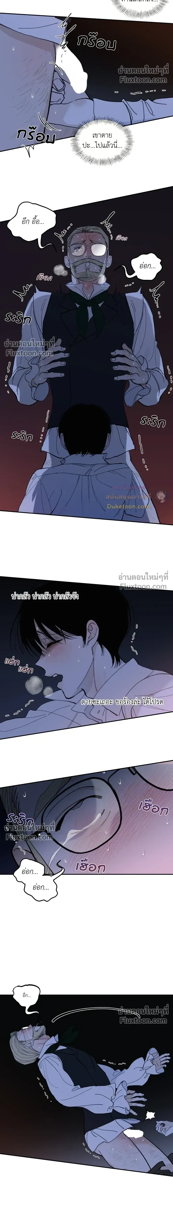 Maison หน้า 5