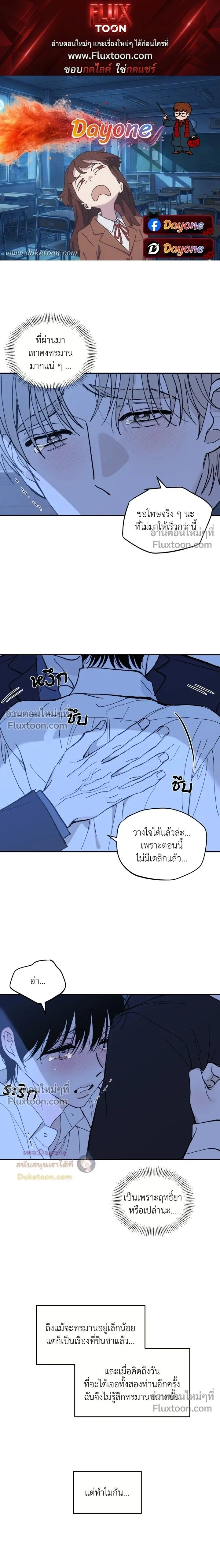 Maison หน้า 1