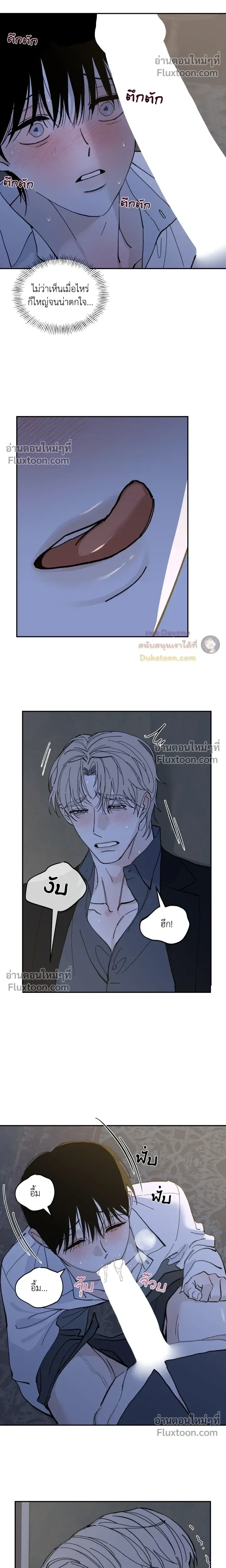 Maison หน้า 14