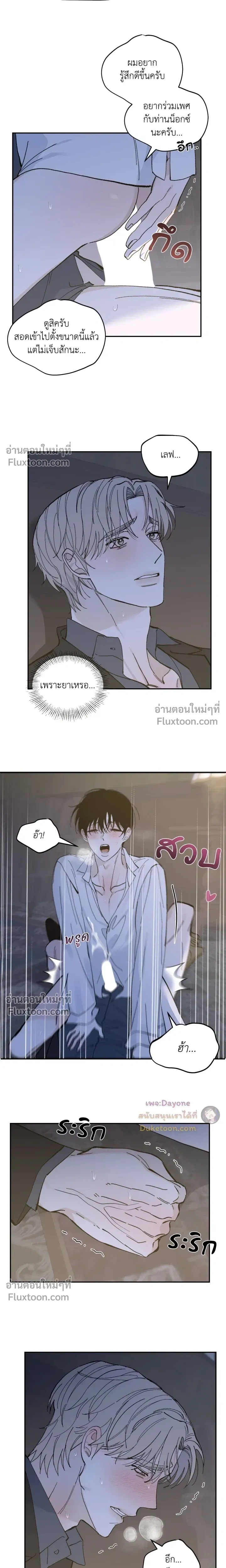 Maison หน้า 4