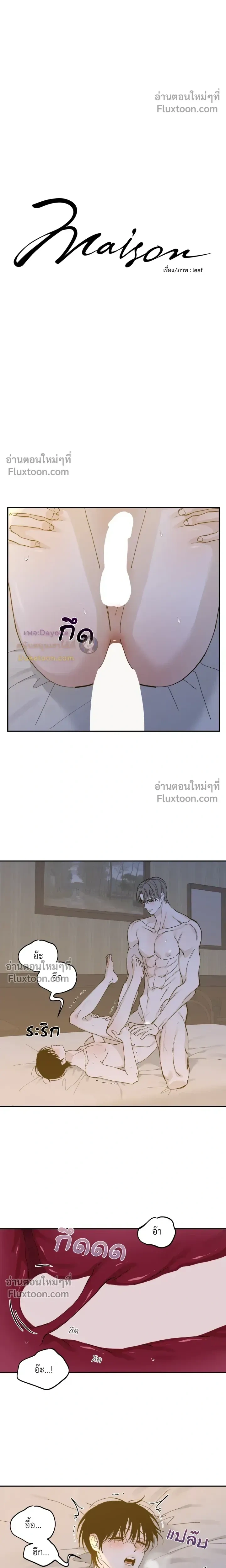 Maison หน้า 5