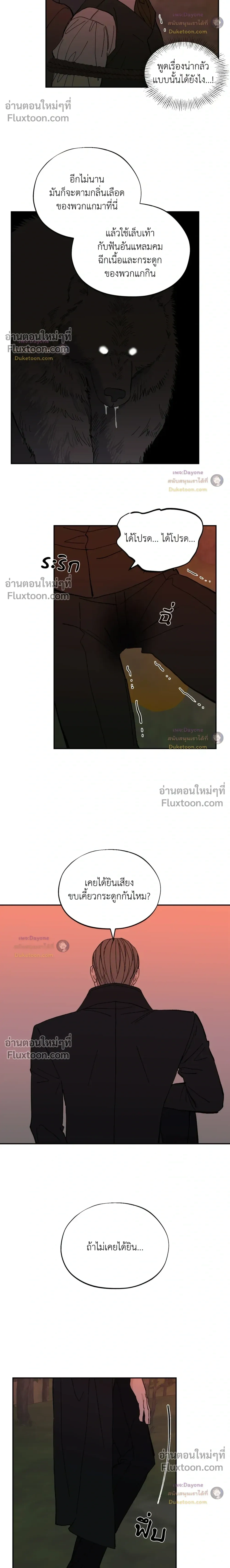 Maison หน้า 14