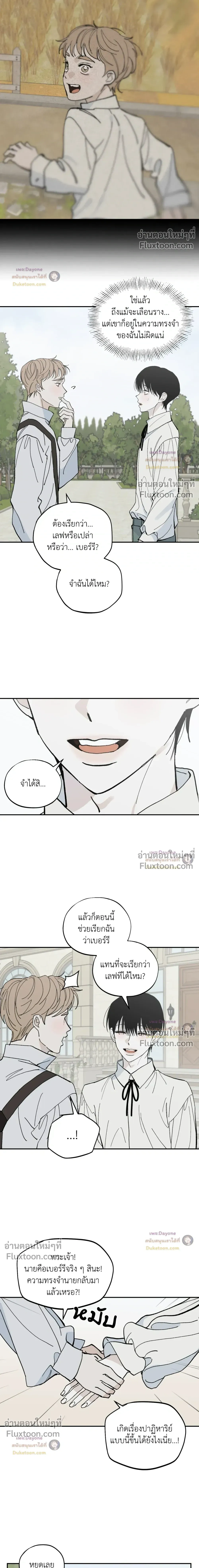 Maison หน้า 3