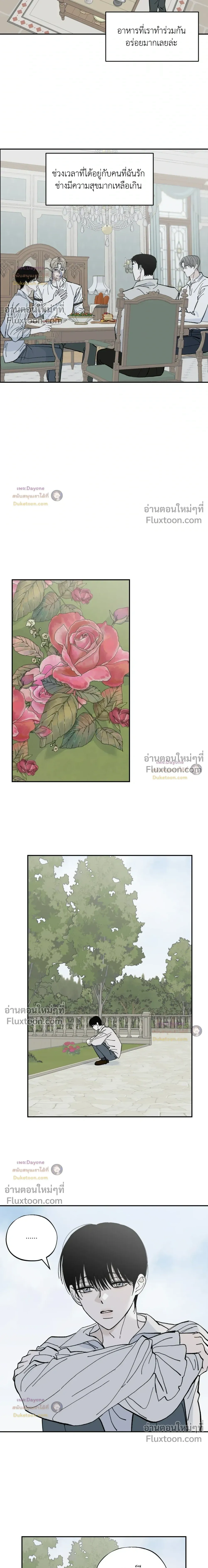 Maison หน้า 3