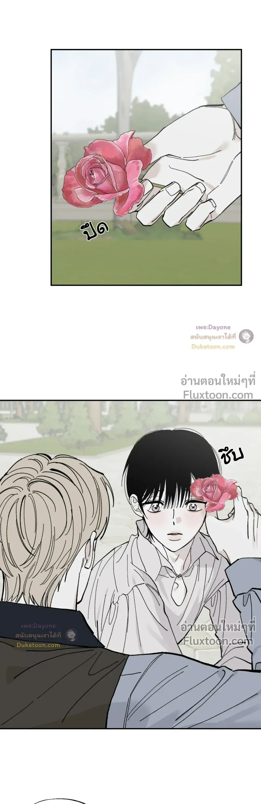 Maison หน้า 5