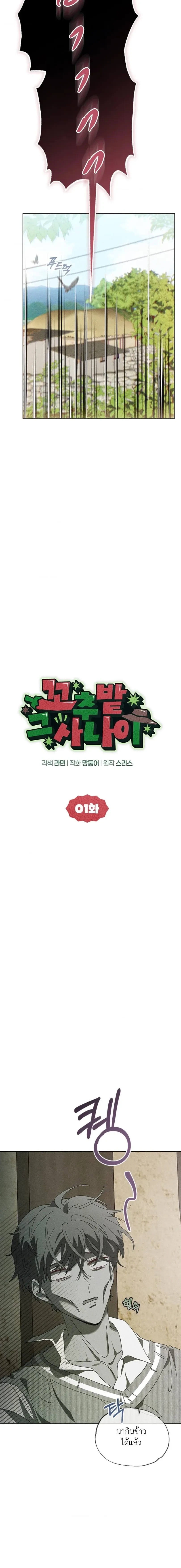The Man from the Pepper Field หน้า 10