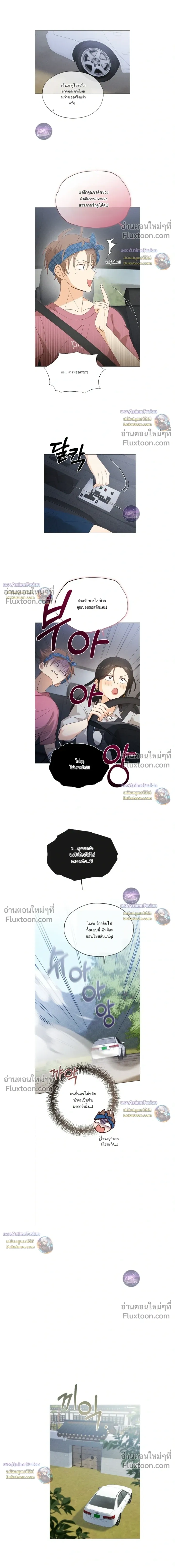 The Man from the Pepper Field หน้า 15