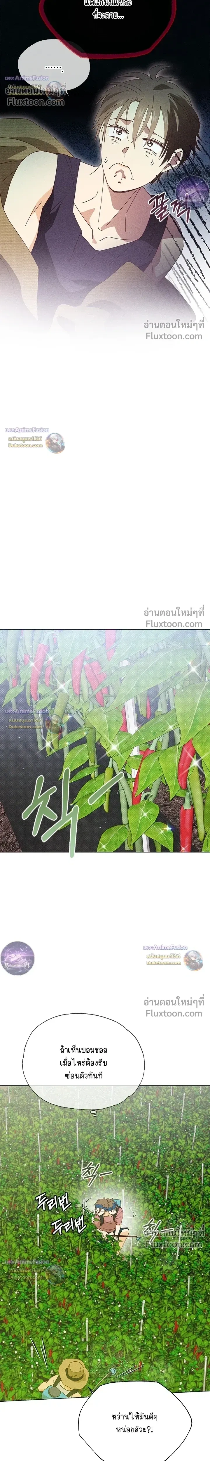 The Man from the Pepper Field หน้า 9