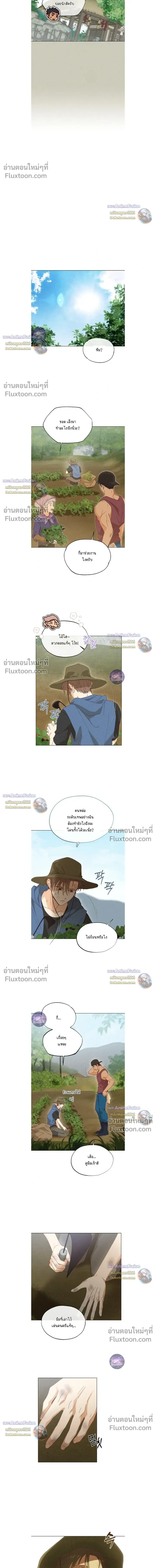 The Man from the Pepper Field หน้า 16