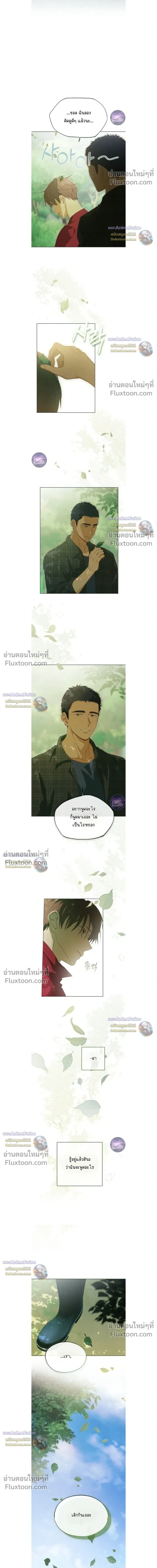 The Man from the Pepper Field หน้า 23