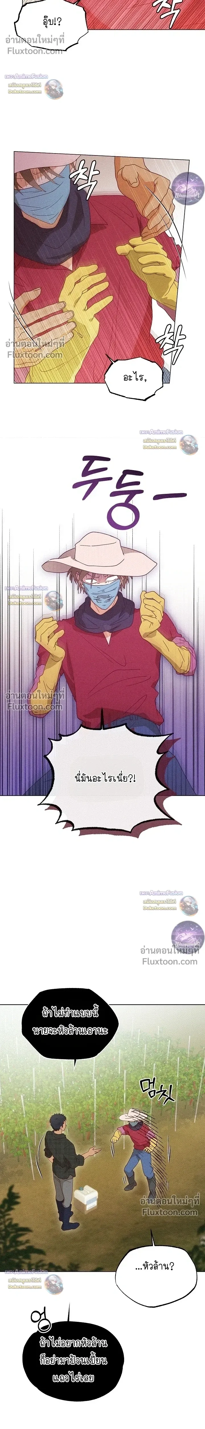 The Man from the Pepper Field หน้า 4