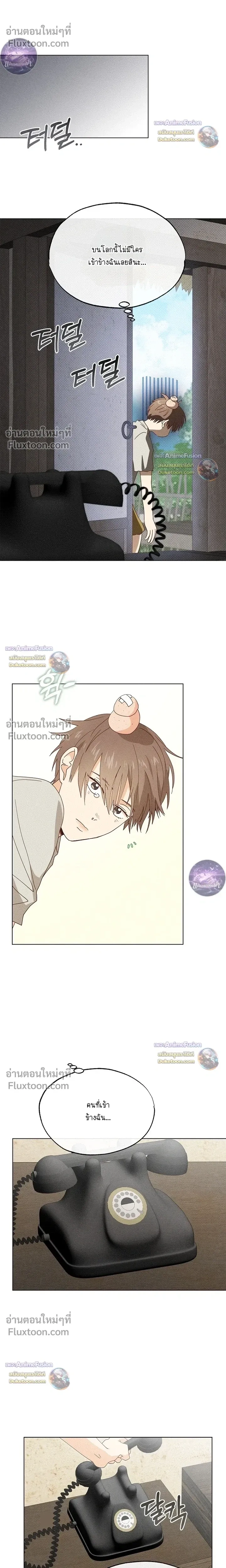 The Man from the Pepper Field หน้า 14