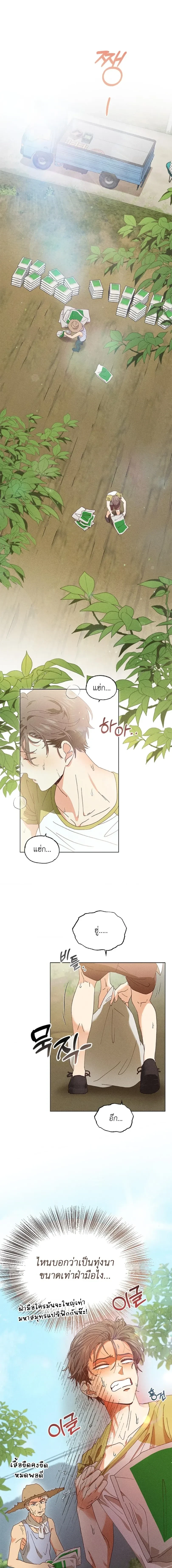 The Man from the Pepper Field หน้า 4