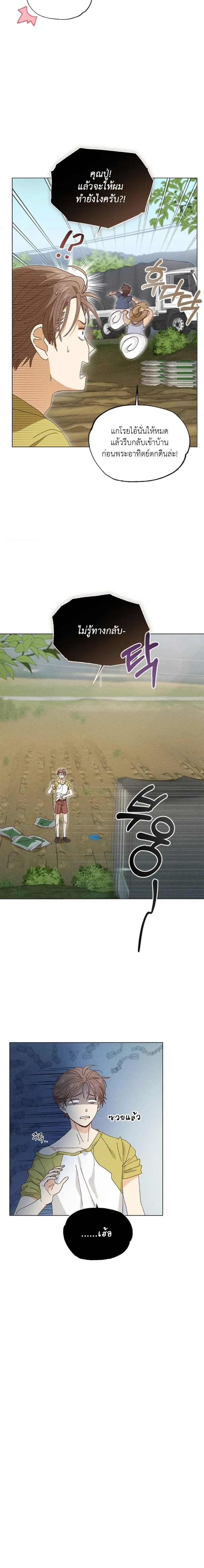 The Man from the Pepper Field หน้า 6