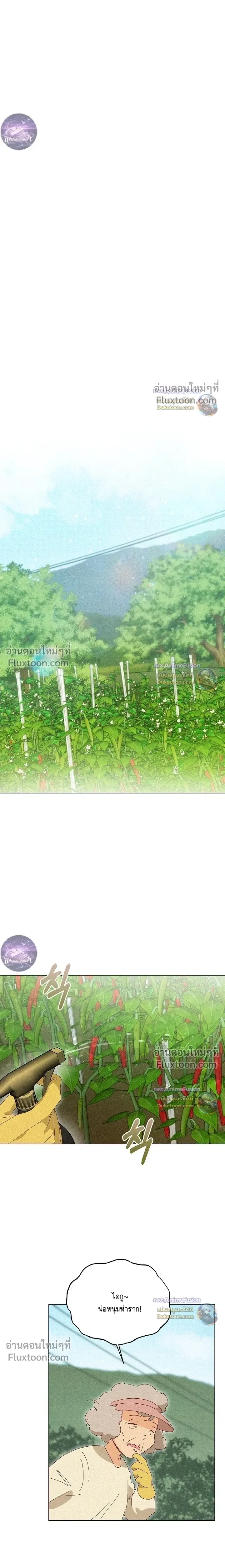 The Man from the Pepper Field หน้า 15