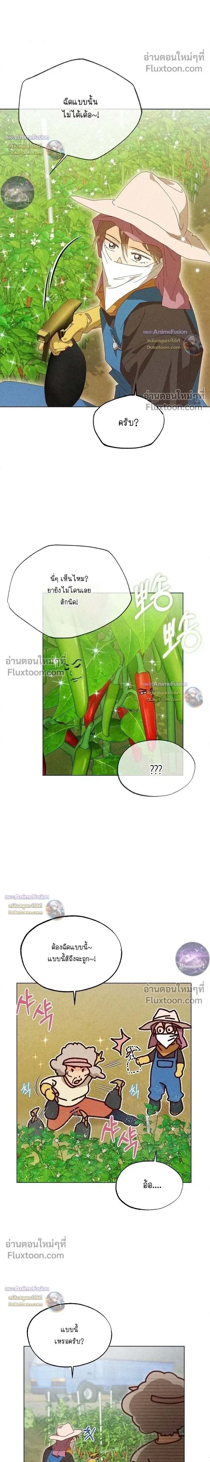 The Man from the Pepper Field หน้า 16