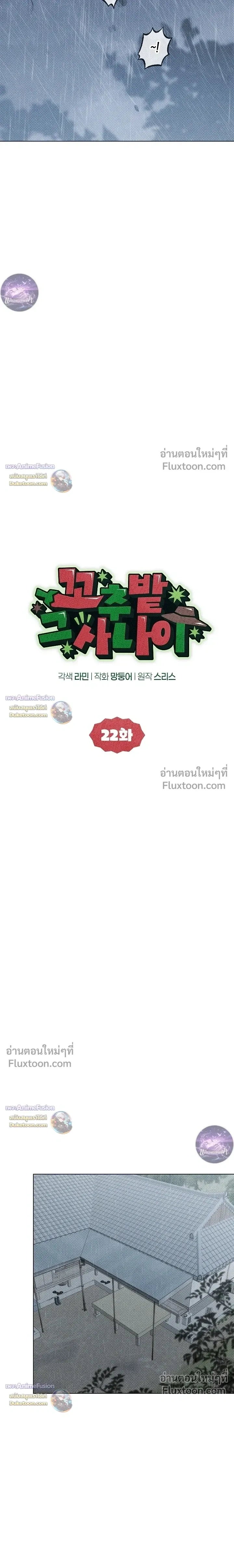 The Man from the Pepper Field หน้า 11